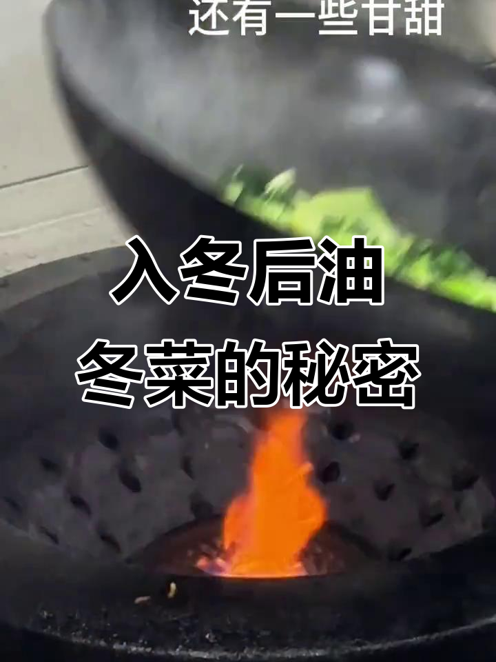 冬季油冬菜为何如此美味?鲜香甘甜,爆炒更诱人