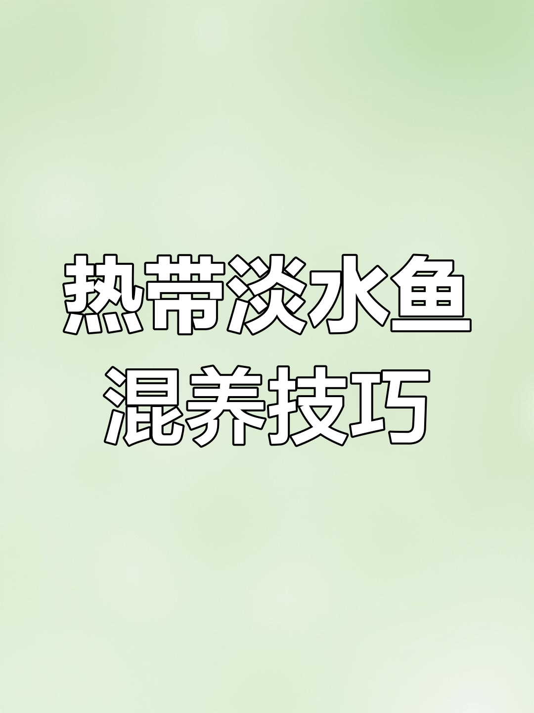 热带鱼和淡水鱼混养,温度如何调节才能和谐共处?