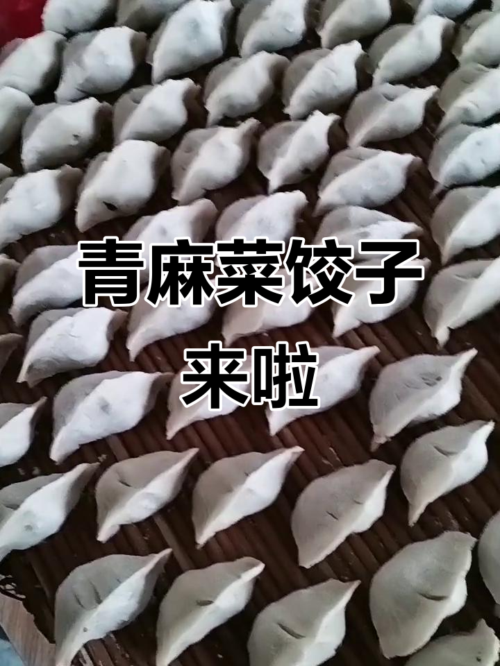 青麻菜饺子,快来尝一尝!