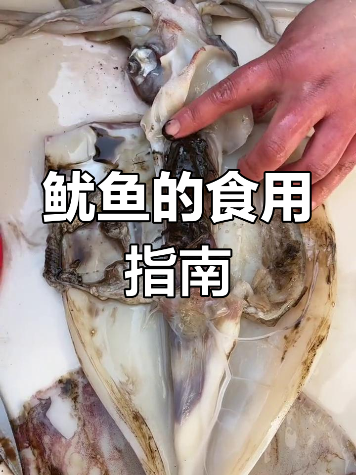 鱿鱼处理大揭秘,哪些部位能吃?
