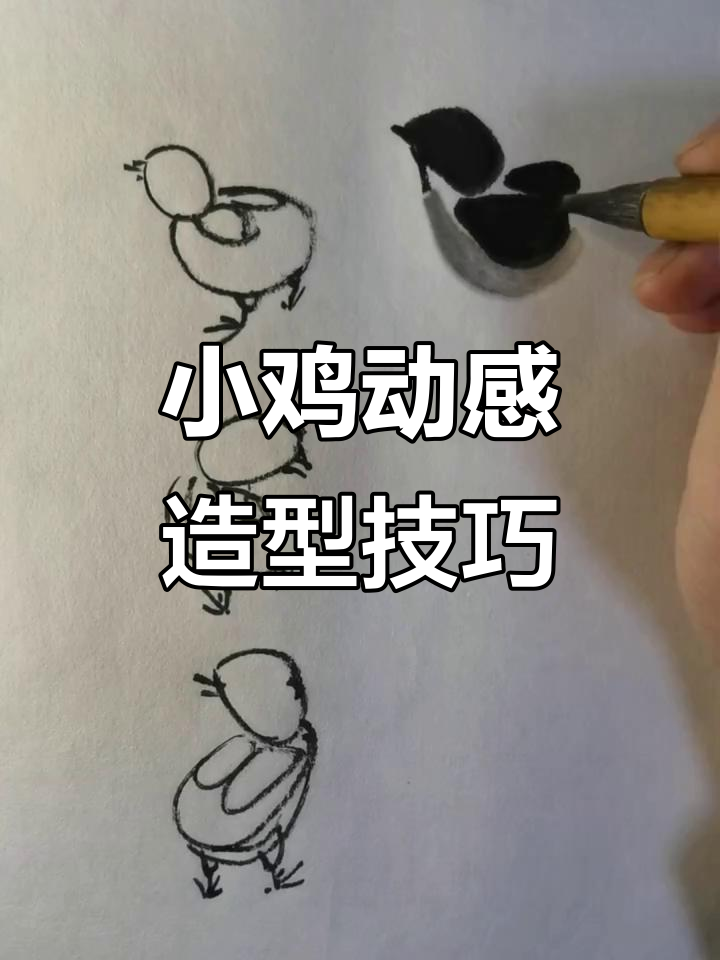 掌握小鸡动态画法,轻松画出各种姿态