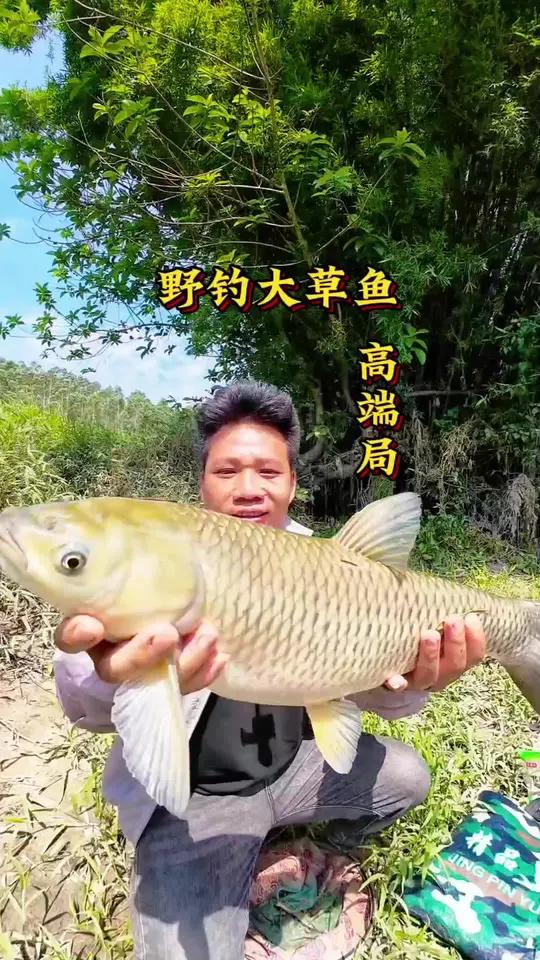 高端局,野钓大草鱼