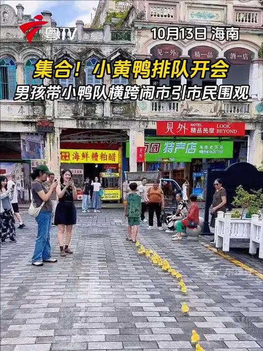 集合！小黄鸭排队开会，男孩带小鸭队横跨闹市引市民围观