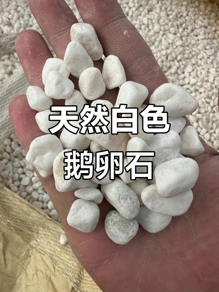 白色鹅卵石:园林景观、室内装修必备,打造自然与清新水景