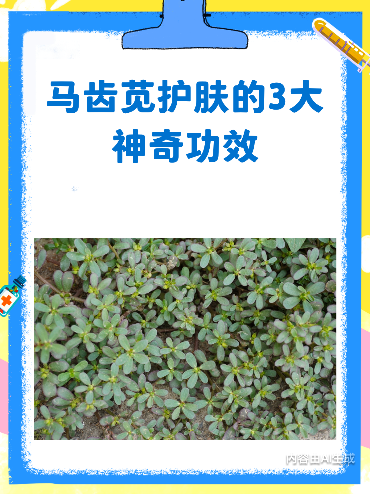马齿苋护肤?3大神奇功效让你惊艳!
