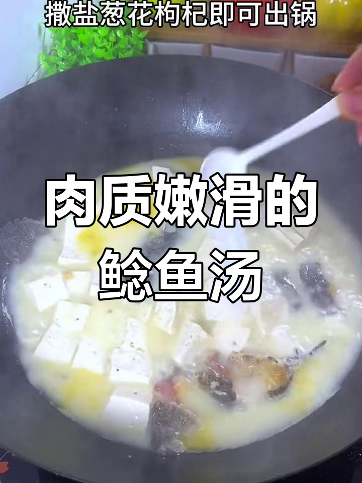 鲶鱼炖豆腐汤,鲜美又少刺
