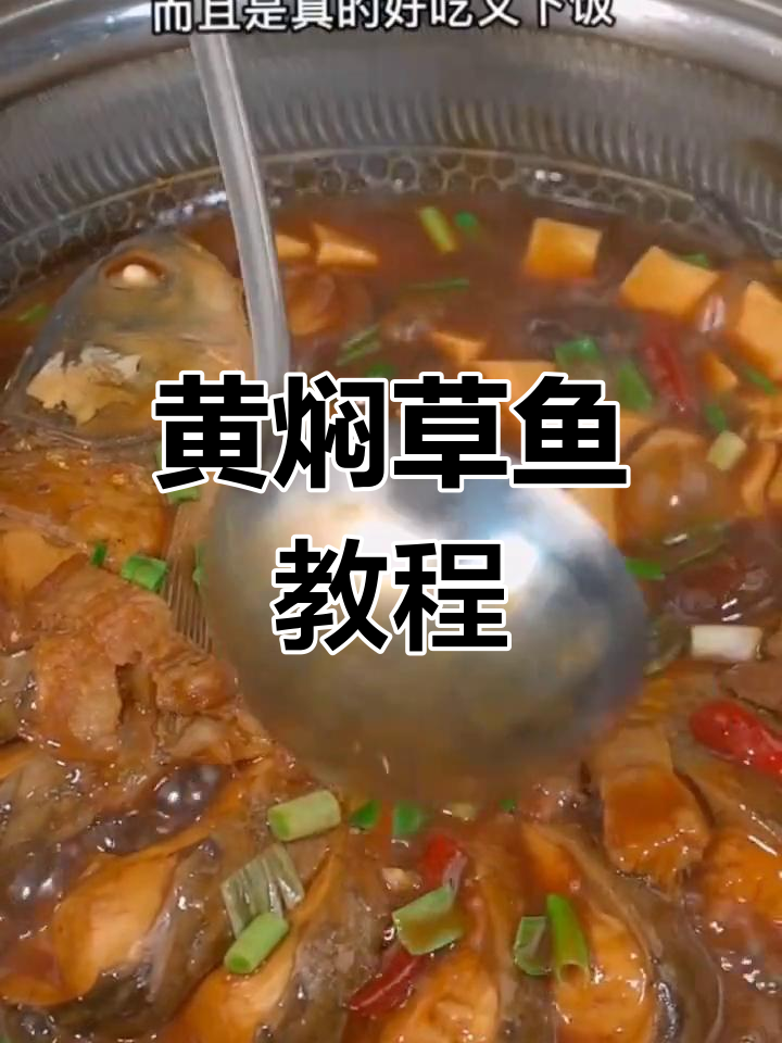 草鱼黄焖做法,简单又下饭,辣味十足