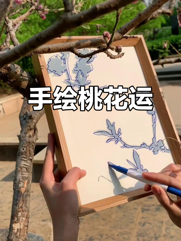 画个桃花,蹭点好运!手绘线条装饰画教程