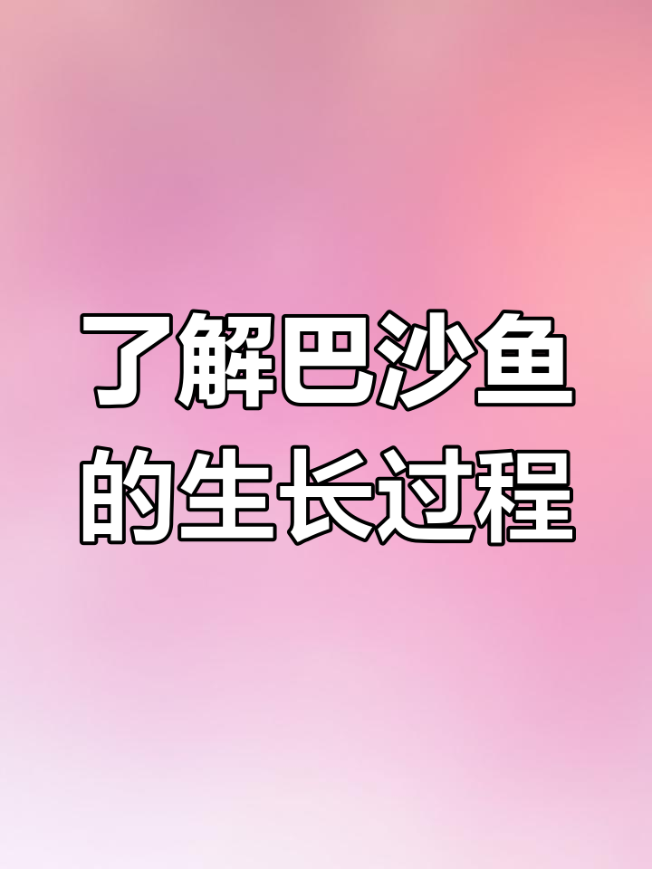巴沙鱼养殖揭秘:为何不适合小孩食用?