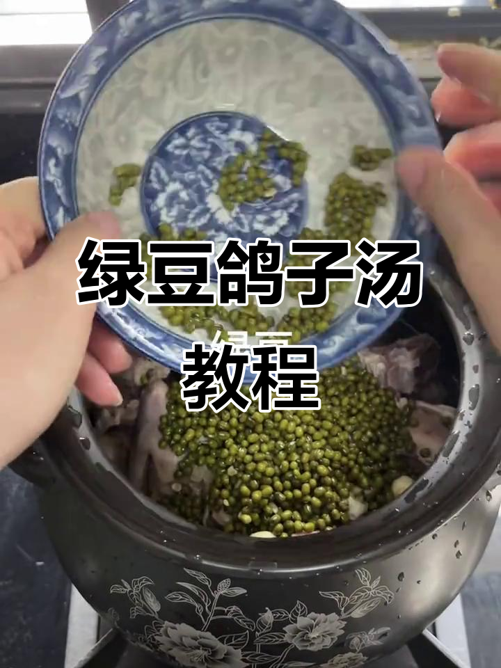 绿豆鸽子汤,简单又美味,教你轻松煲出营养好味道
