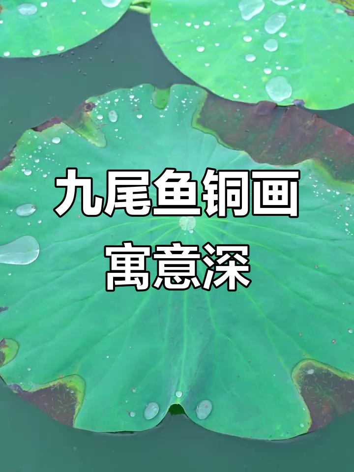 九鱼绕桃，铜雕荷叶与鲤鱼的智慧故事