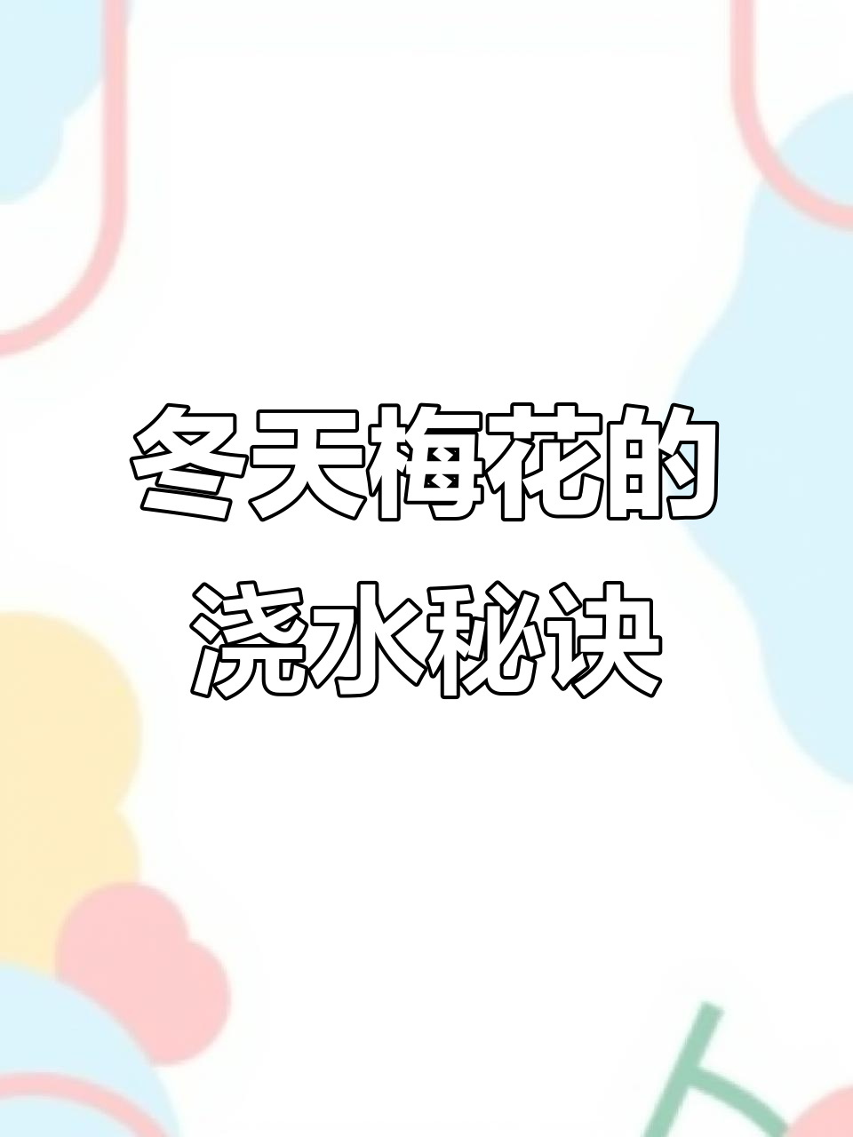 冬季梅花养护技巧:保持土壤干燥,避免过湿