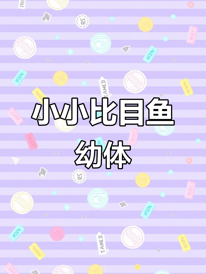迷你比目鱼宝宝，超萌又可爱！