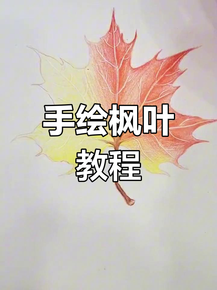 枫叶如火焰,彩铅手绘教你画出美丽五角星