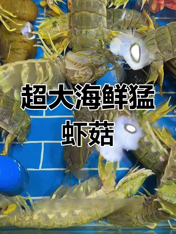 超大皮皮虾,富贵口感