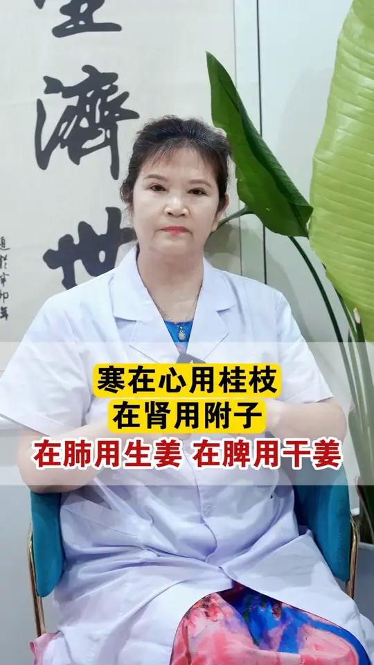 寒在心用桂枝,在肾用附子,在肺用生姜,在脾用干姜