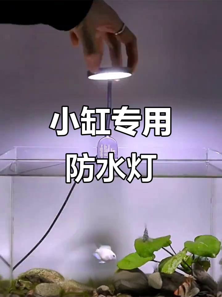 森森夹灯,防水照明,适合小缸水草与斗鱼