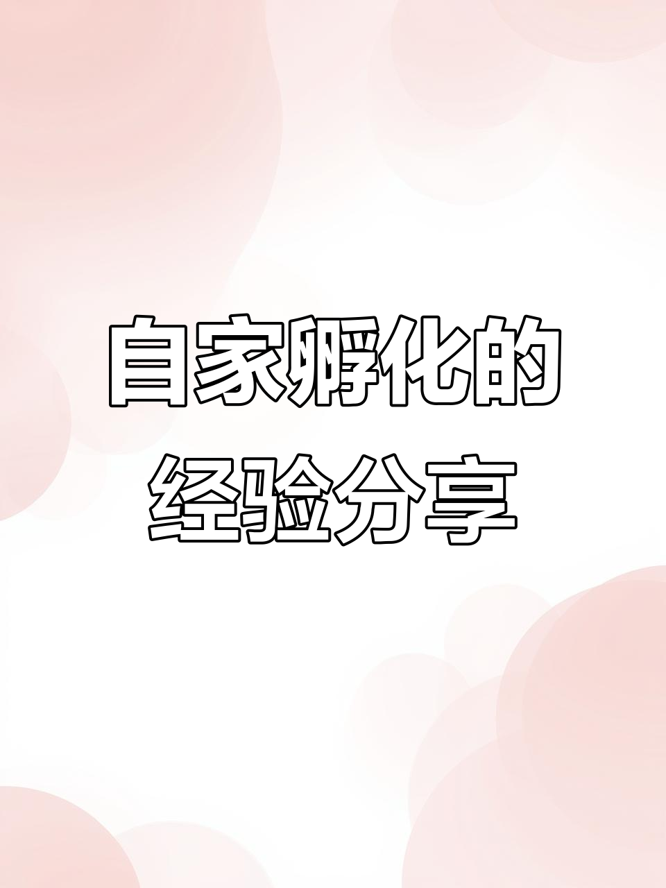 自家孵化鸡蛋,气泡蛋和死胎试验揭秘