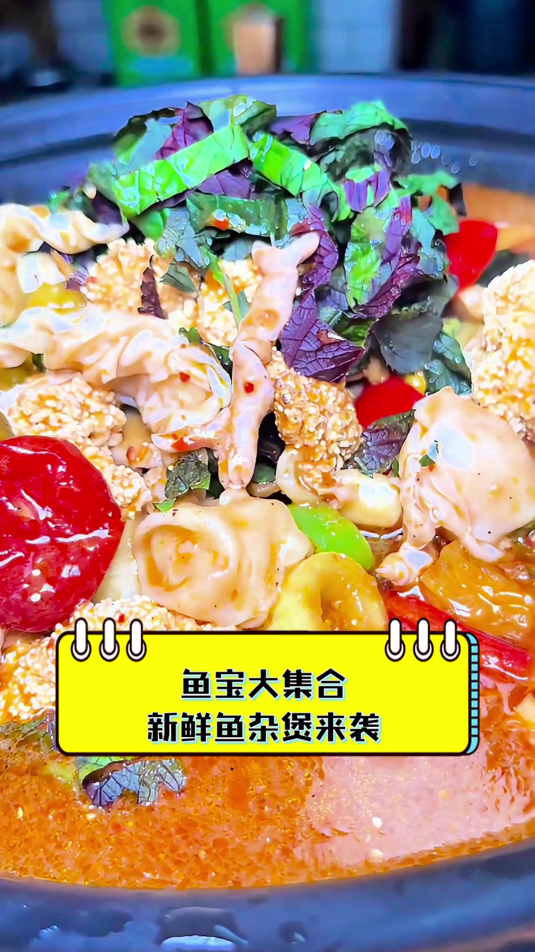 鱼宝大集合,新鲜鱼杂煲来袭
