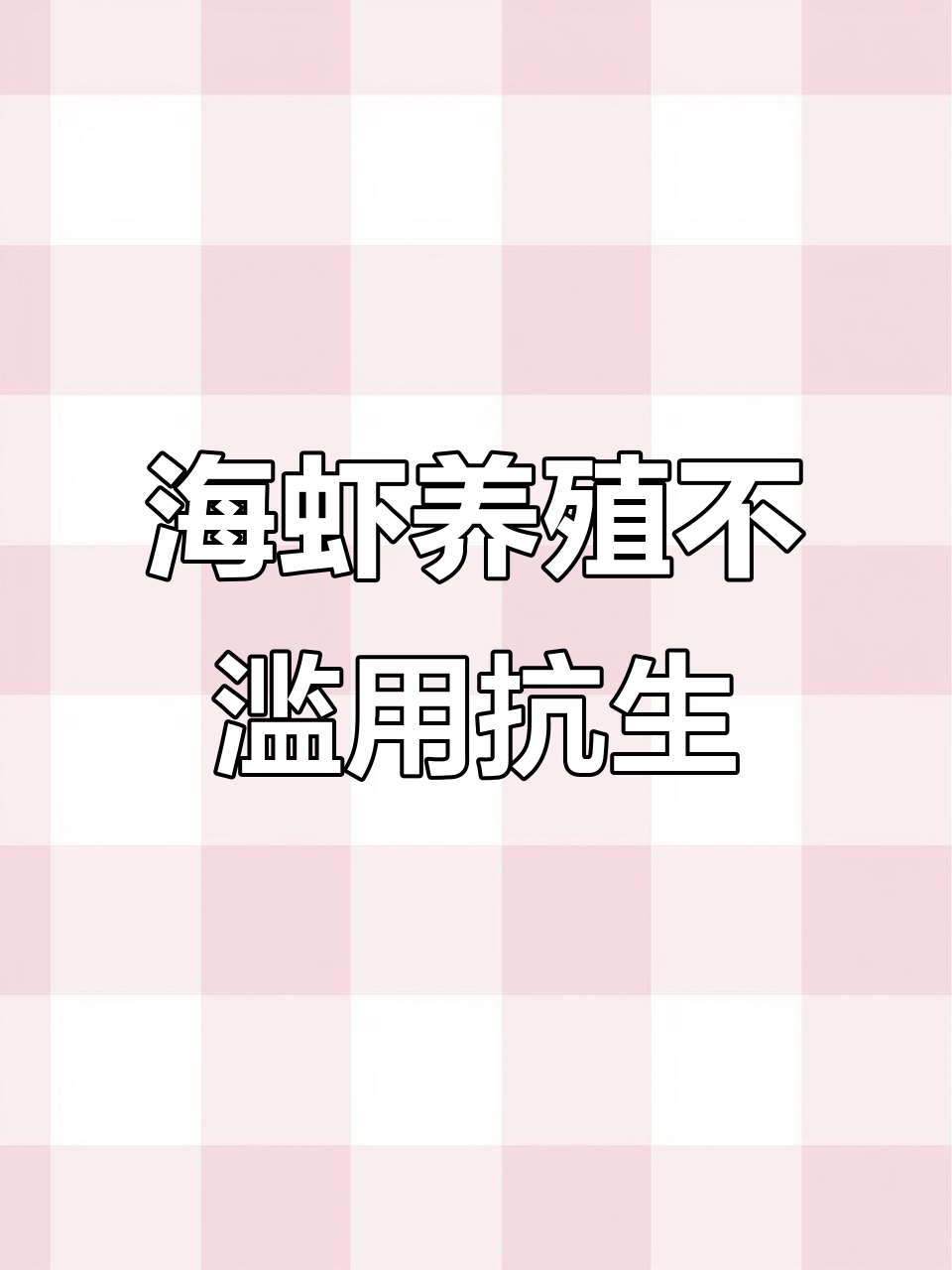 海虾养殖真相大揭秘:抗生素使用少,保鲜靠降温