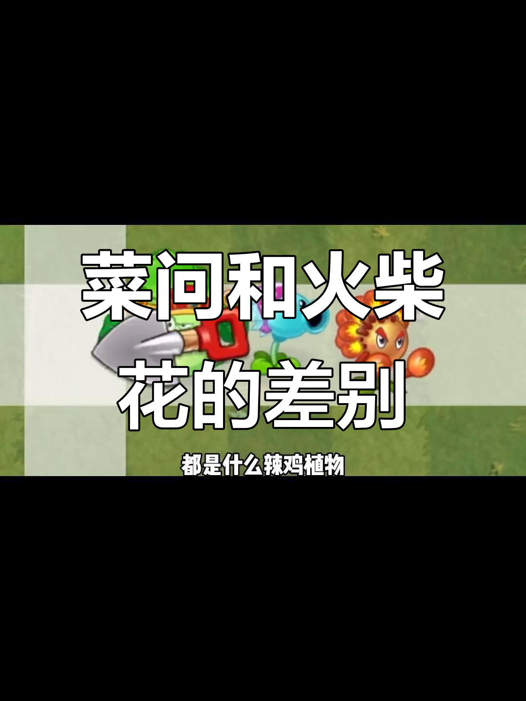 菜问与火柴花拳手对比:为什么差距这么大?
