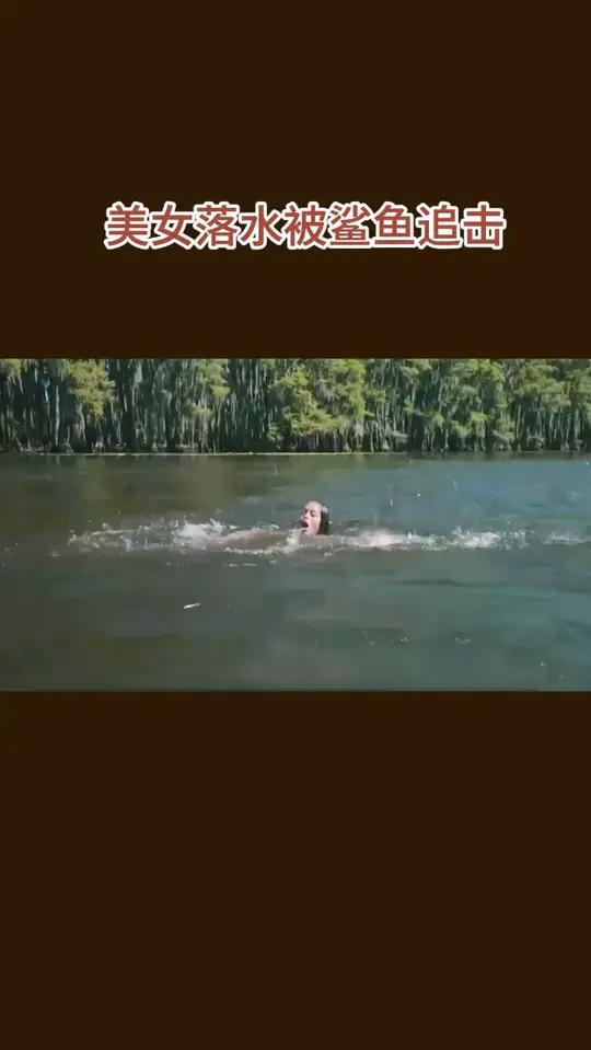 美女落水被鲨鱼追击