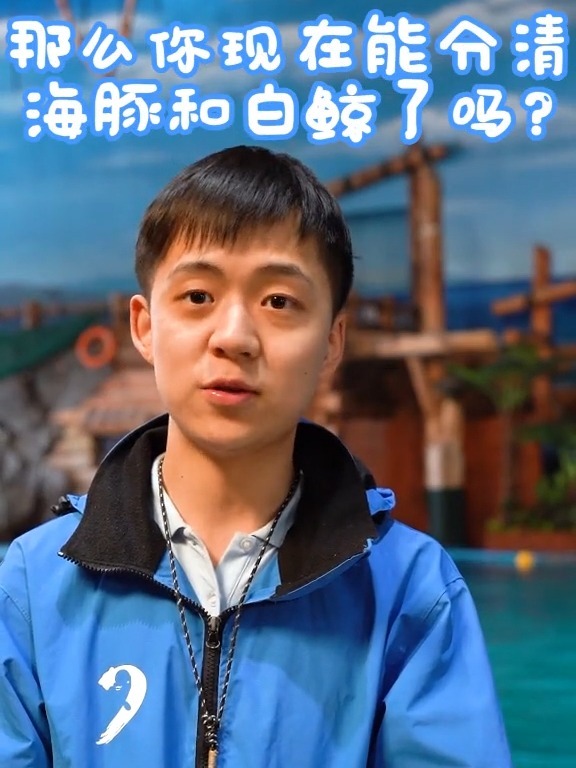 我不允许你不知道,海豚和白鲸的区别!