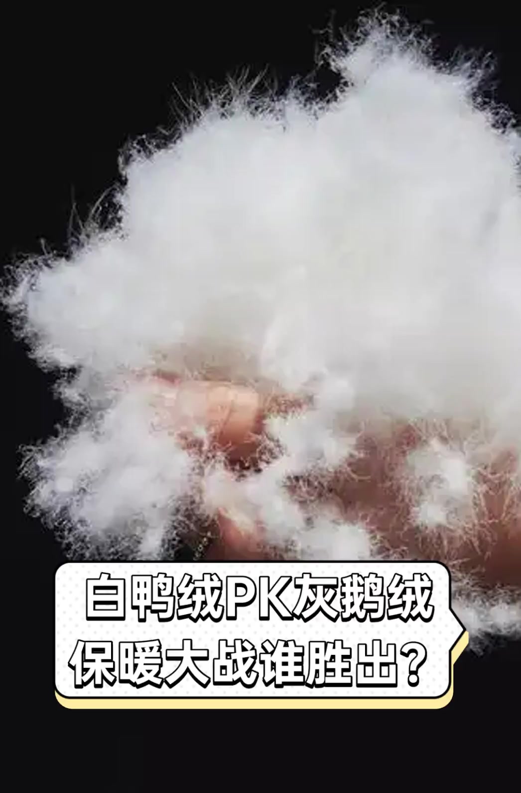 白鸭绒PK灰鹅绒,保暖大战谁胜出?