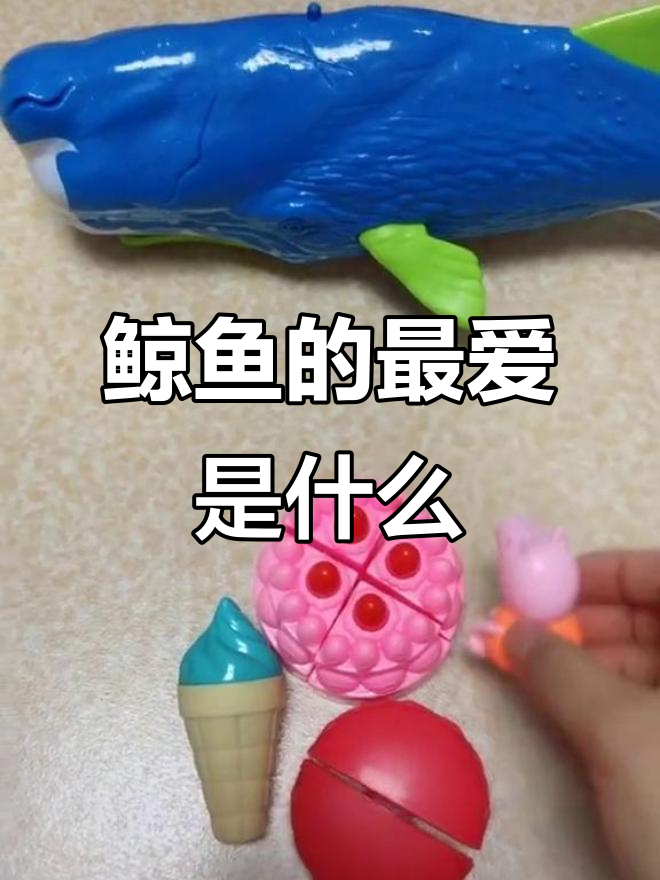 大鲸鱼不爱吃蛋糕,它到底喜欢吃什么?