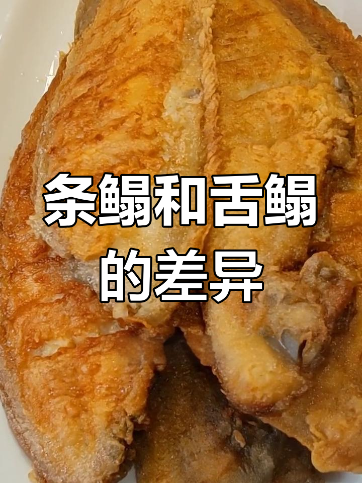 舌鳎与条鳎的区别,煎炸做法全解析