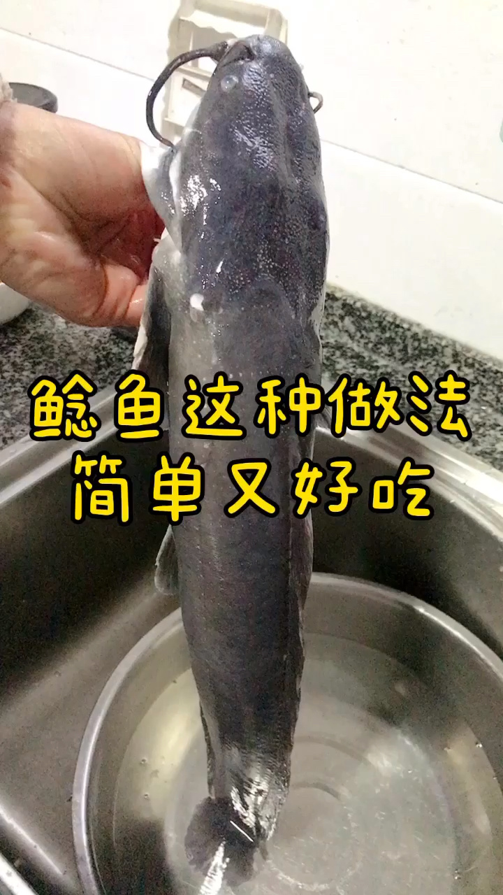 鲶鱼这种做法 简单又好吃 鲜嫩细腻没有腥味