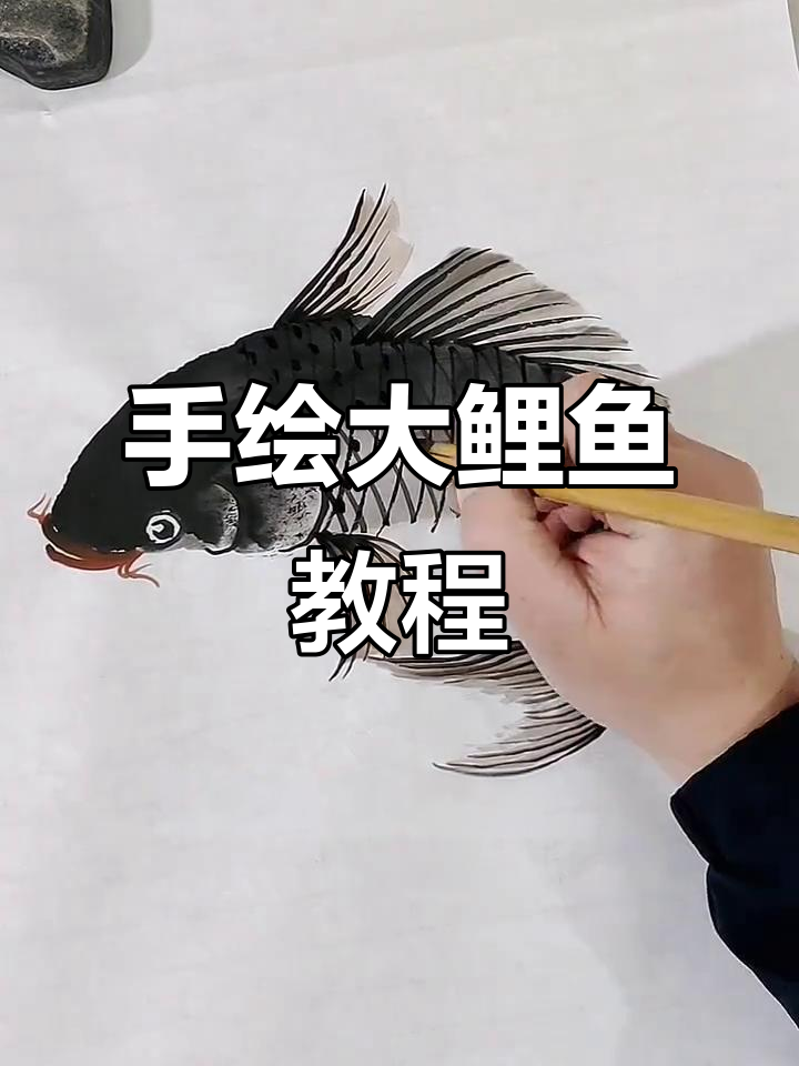 纯手绘国画大鲤鱼，步骤详解教你轻松画出栩栩如生的鲤鱼