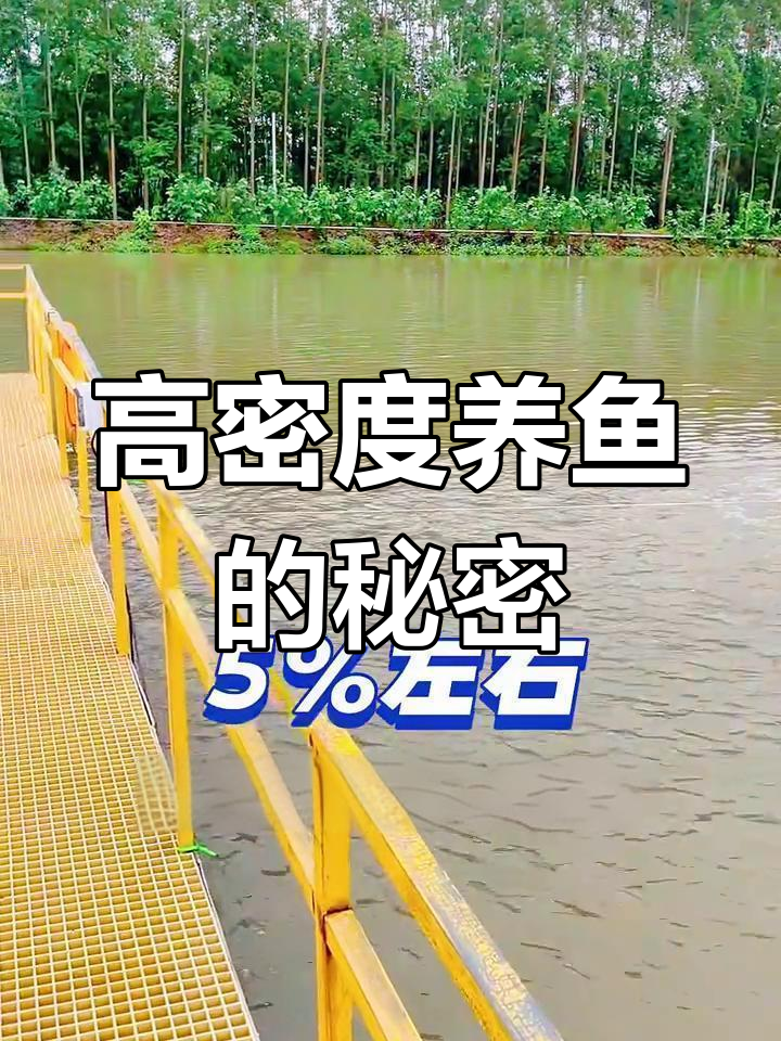 鱼塘高密度养殖,水质循环利用颠覆传统模式