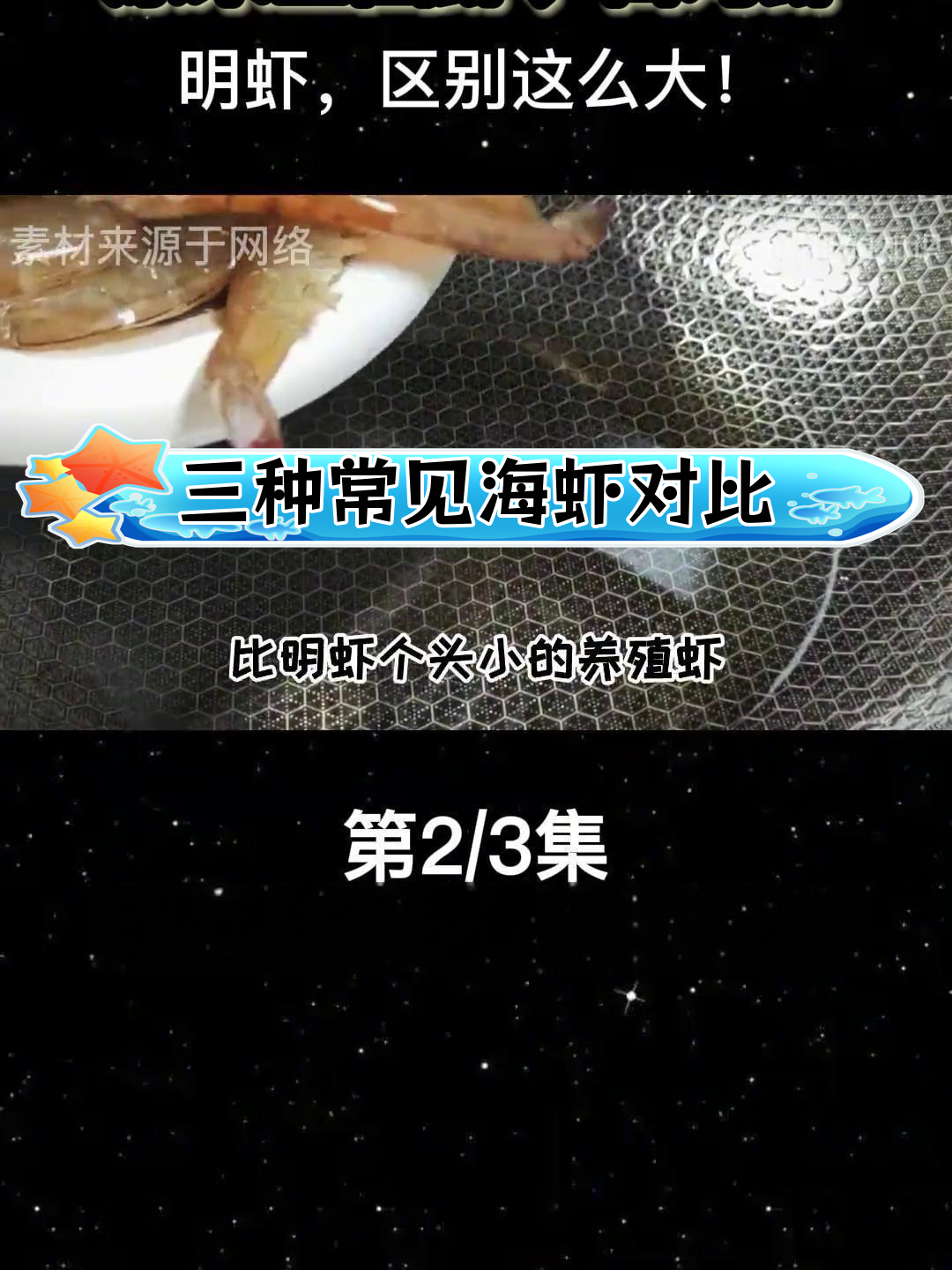 基围虾、白对虾和明虾的区别大揭秘,选购时要注意!