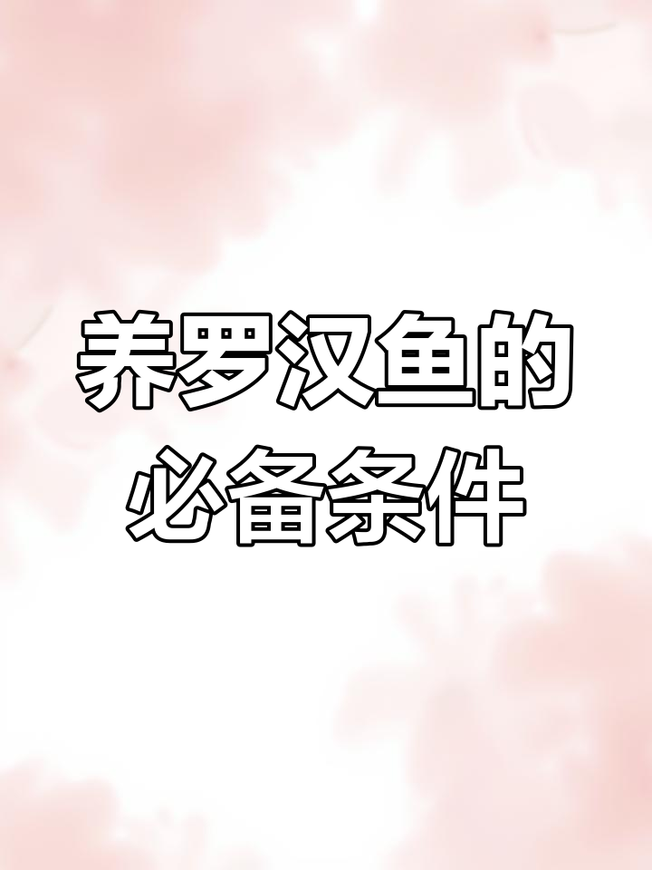 罗汉鱼饲养全攻略:如何选择合适的鱼缸