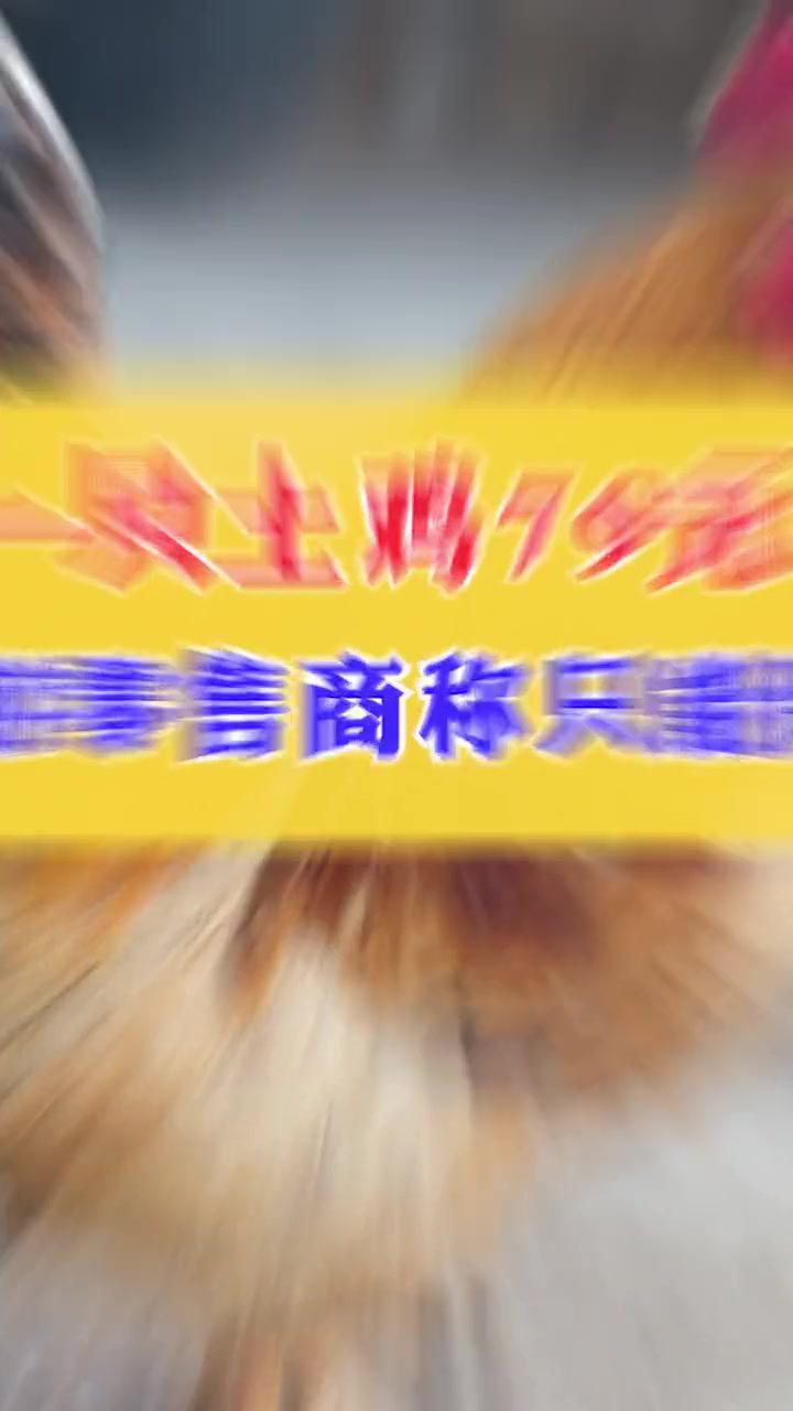 一只土鸡79元!下游零售商称只能保本