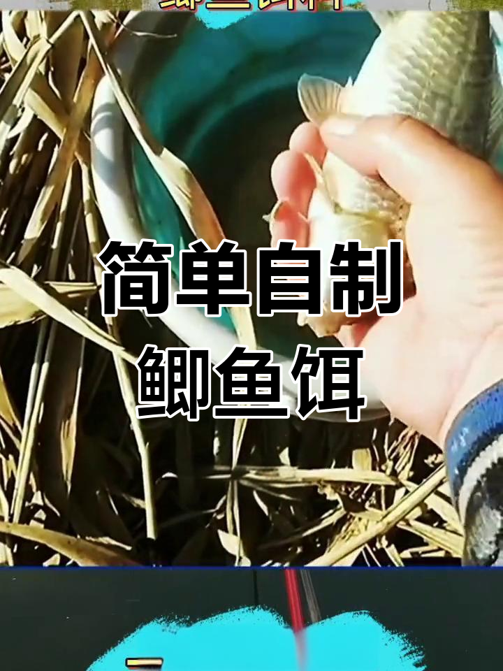 自制鲫鱼饵料,省钱又高效
