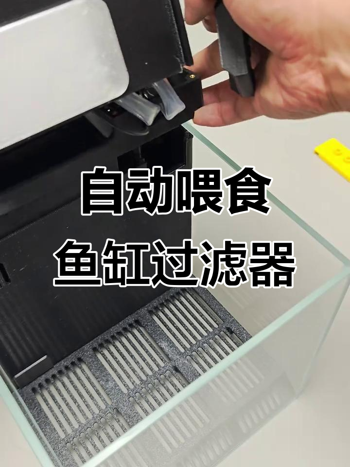 桌面鱼缸过滤套件，冷暖机+自动喂食功能全解析