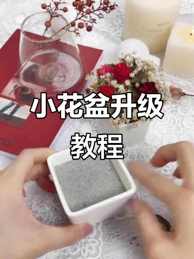 打造个性化小花盆，啤酒、干花与小企鹅的完美结合