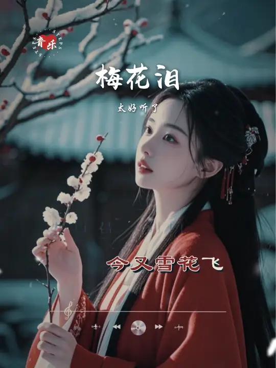 《梅花泪》那日君一别呀今又雪花飞,思念你的歌,醉了那枝梅……歌单种草计划 前奏一响拾起多少