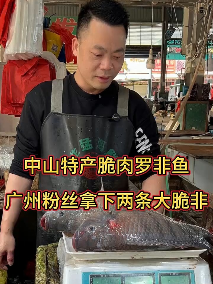 中山特产脆肉罗非鱼，广州粉丝拿下两条大脆肉罗非鱼！