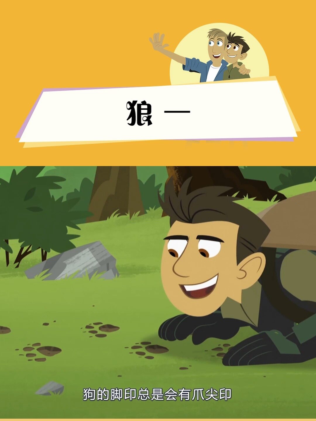 狼的脚印什么样子?