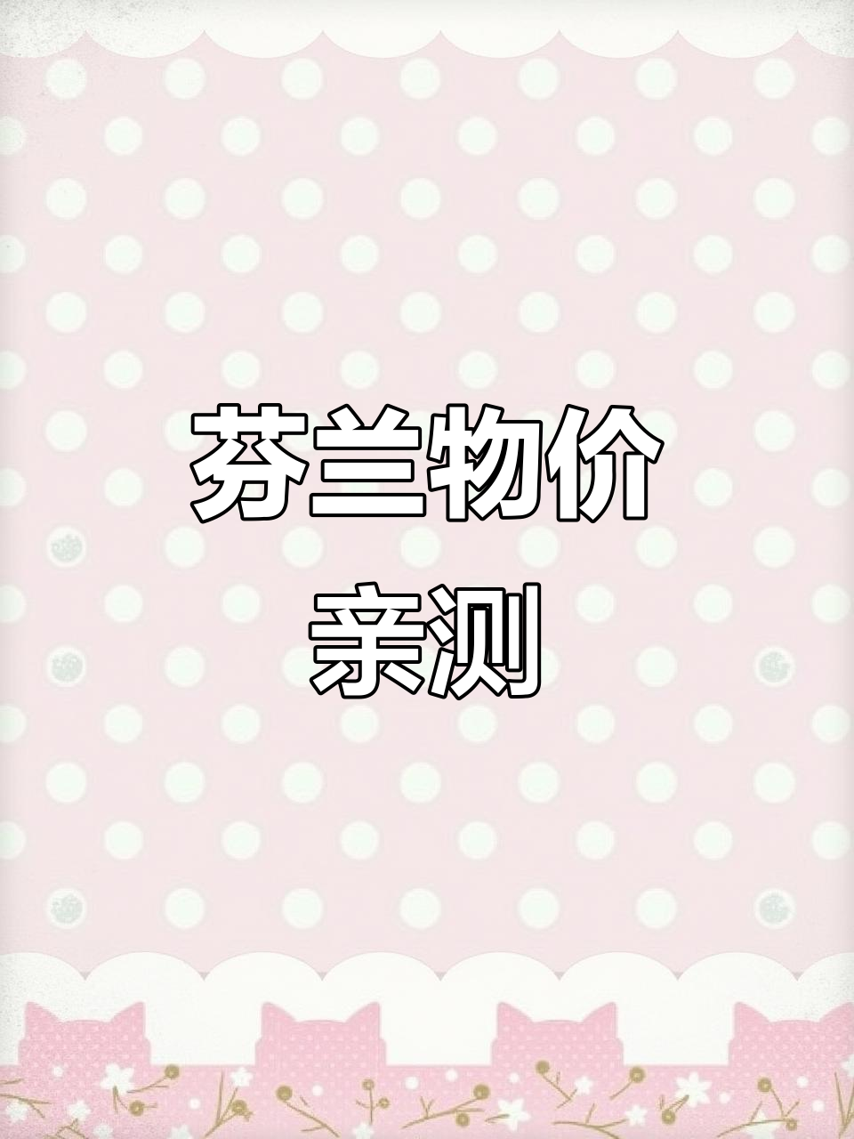 芬兰超市大揭秘,物价超实惠!