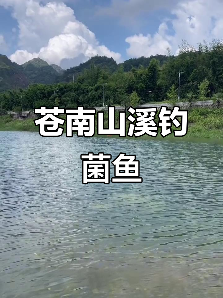 温州苍南深山溪流探钓,偶遇小军鱼开口