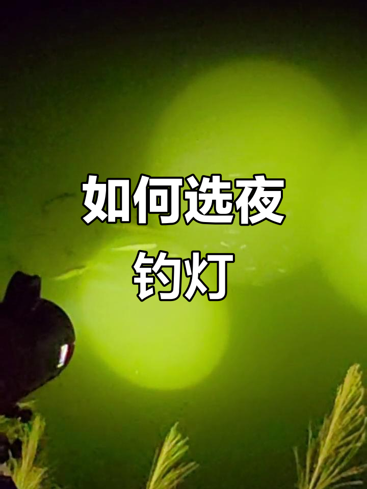 夜钓灯选择指南,如何挑选高亮激光炮