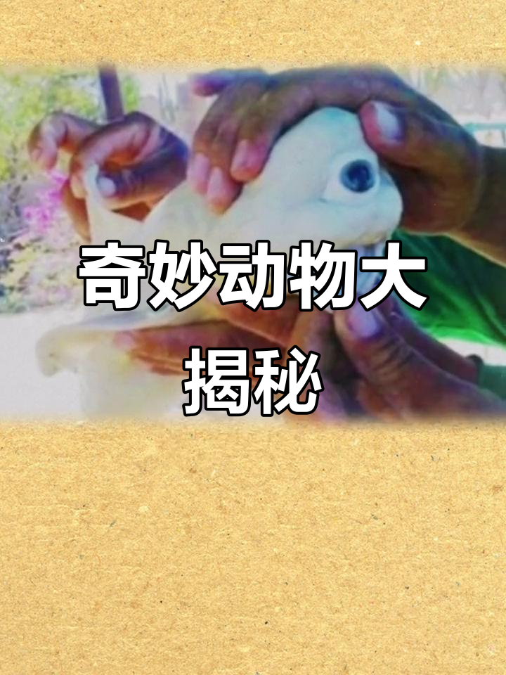 这些动物你绝对没见过,三眼恐龙虾、独眼鲨鱼都在其中