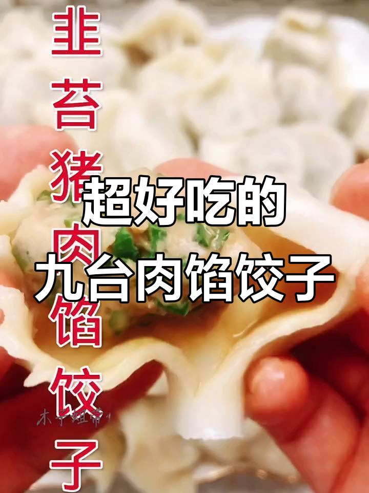 韭菜猪肉水饺,皮薄馅大超好吃!教你做正宗美味饺子