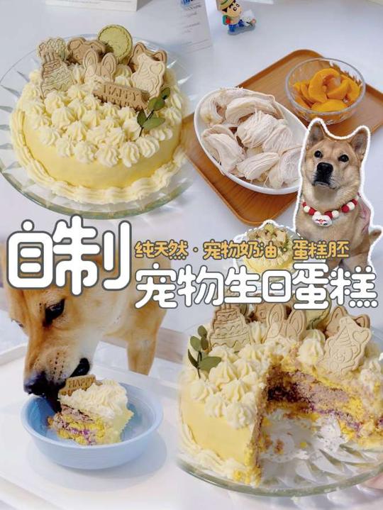 自制宠物生日蛋糕教程，免烤纯天然，毛孩子爱吃