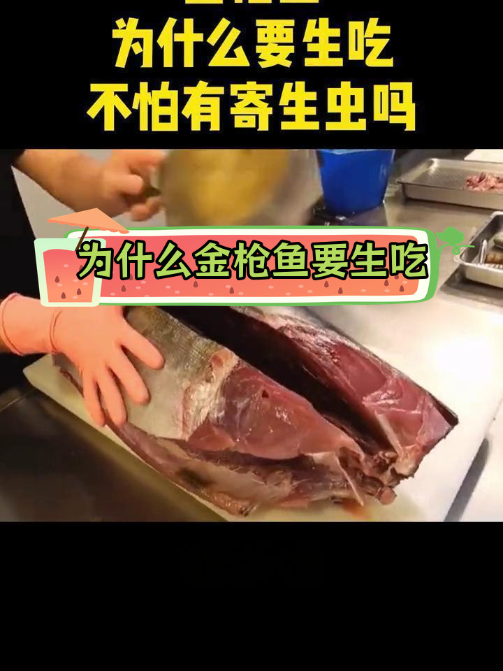 金枪鱼为何生吃?揭秘日本人的饮食习惯