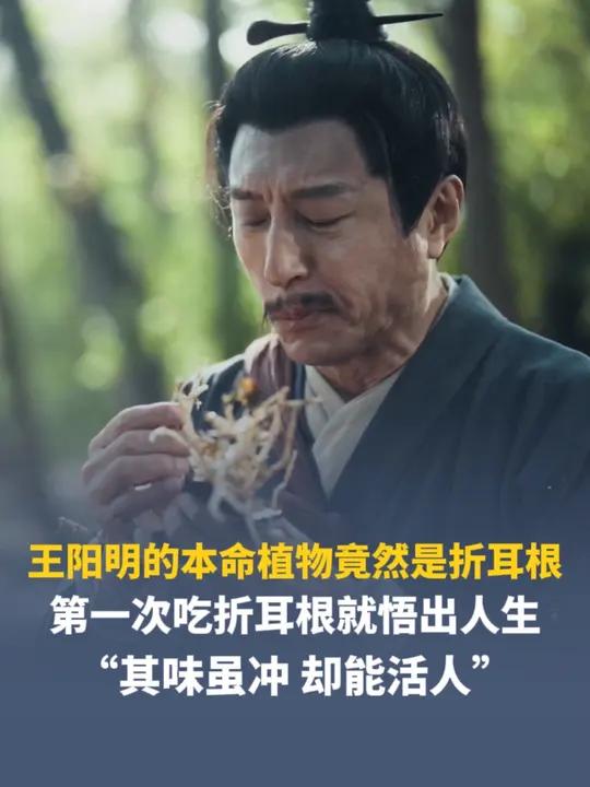 王阳明的本命植物竟然是折耳根，第一次吃折耳根就悟出人生：其味虽冲，却能活人
